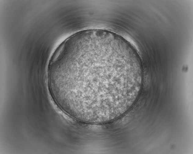 X0000090701088200708101436