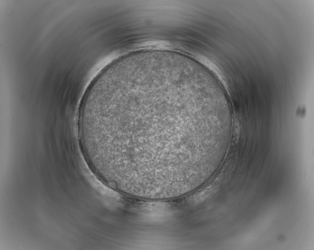 X0000090701090200708101436
