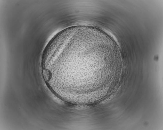 X0000090701091200708101436