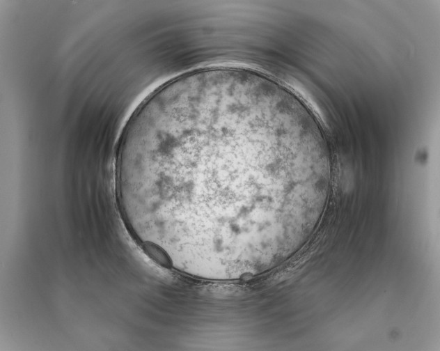 X0000090701092200708101436