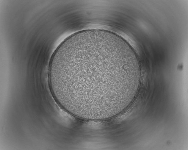 X0000090701094200708101436