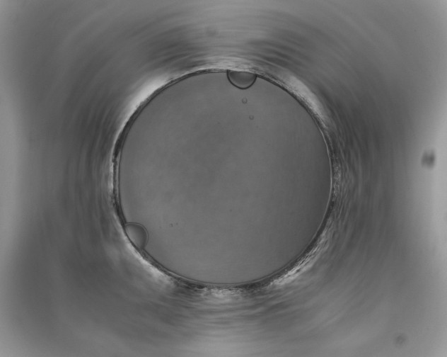 X0000090701095200708101436