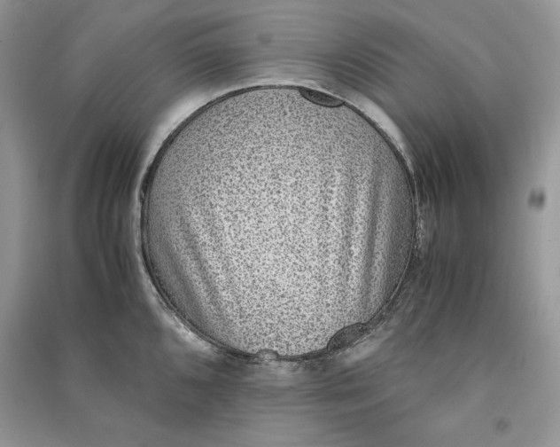 X0000090701096200708101436