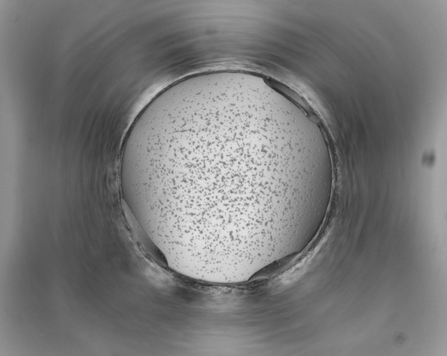 X0000090701097200708101436