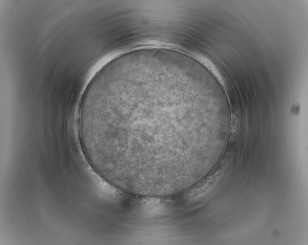 X0000090701098200708101436