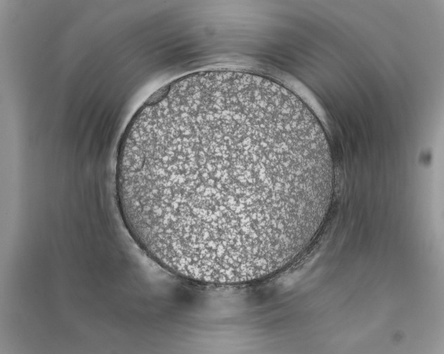 X0000090701099200708101436