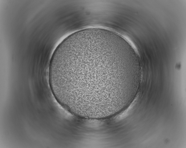 X0000090701100200708101436