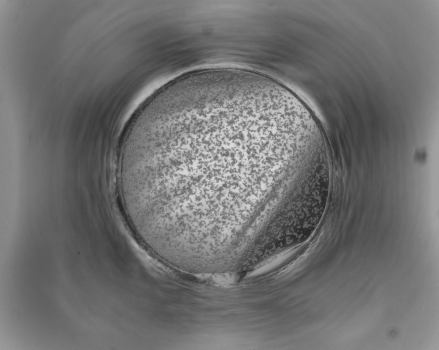 X0000090701101200708101436