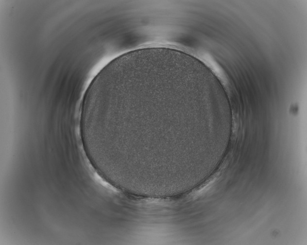 X0000090701102200708101436