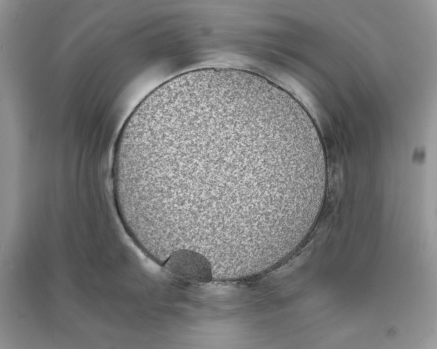 X0000090701103200708101436