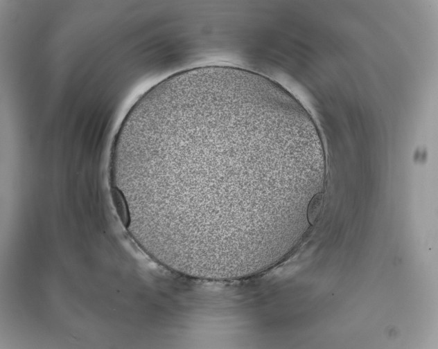 X0000090701104200708101436