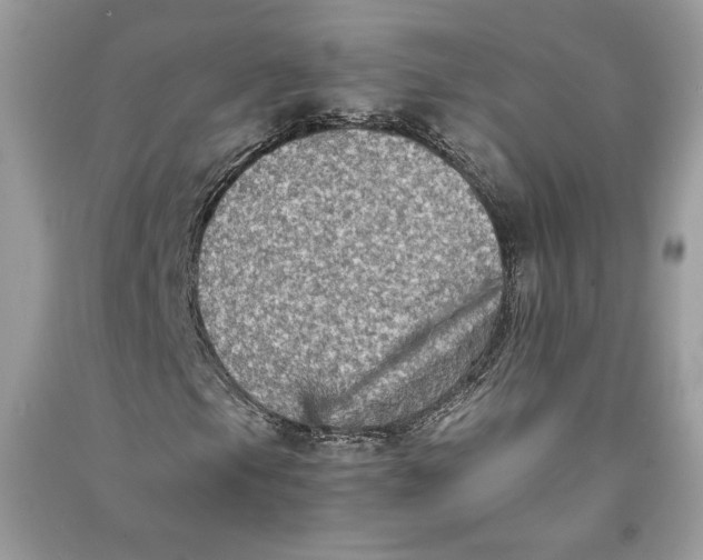 X0000090701105200708101435