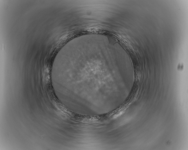 X0000090701106200708101435