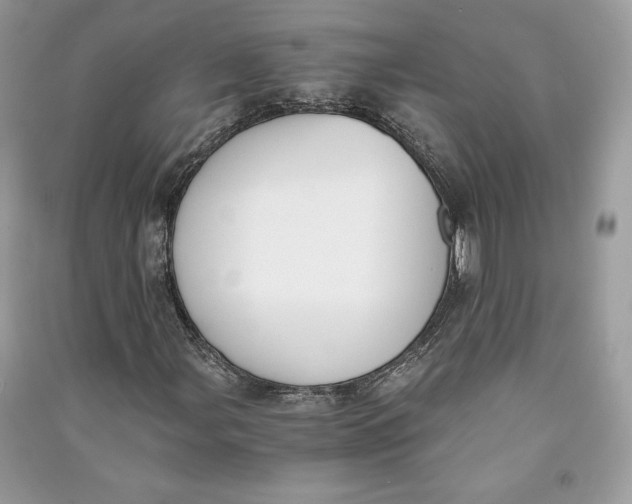 X0000090701107200708101435