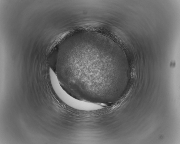 X0000090701108200708101435