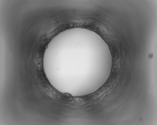 X0000090701109200708101435