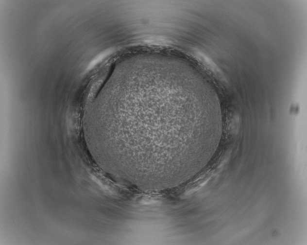X0000090701110200708101436