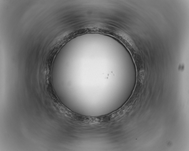 X0000090701111200708101436