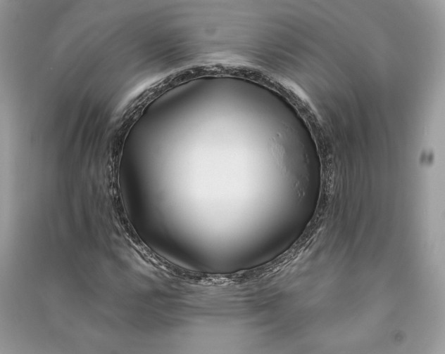 X0000090701112200708101436