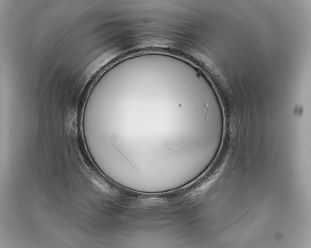 X0000090701113200708101436