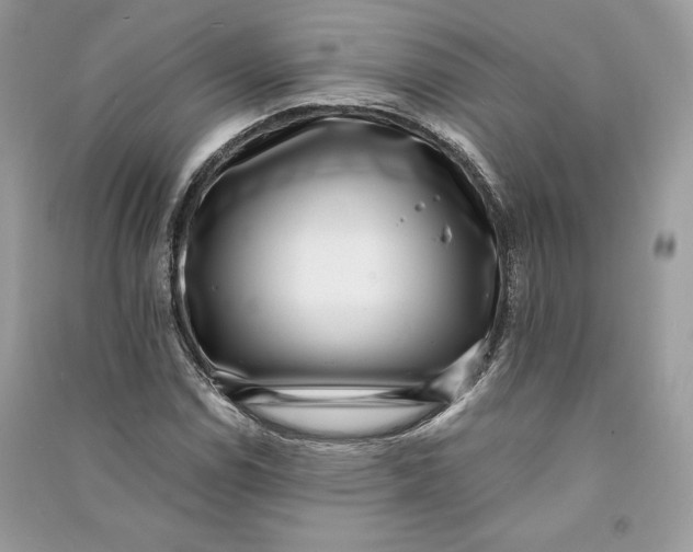 X0000090701114200708101436