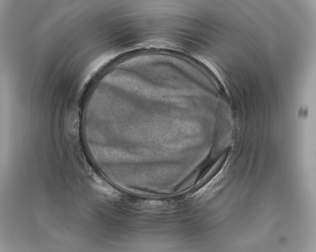 X0000090701115200708101436