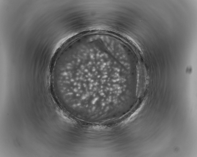 X0000090701117200708101436