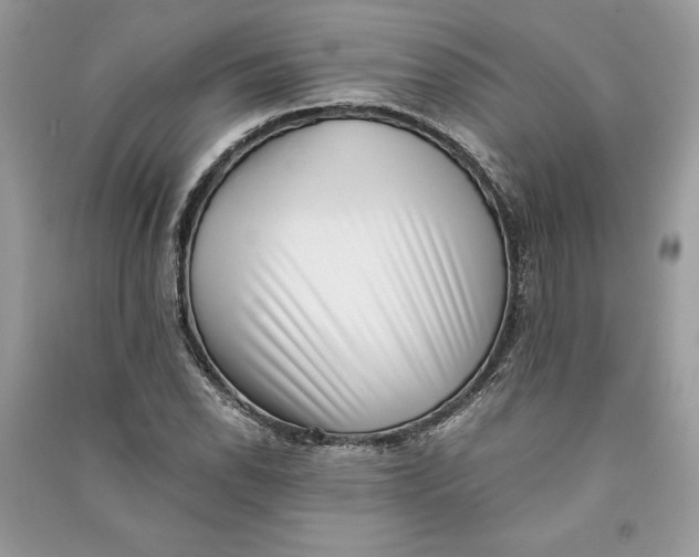 X0000090701118200708101436