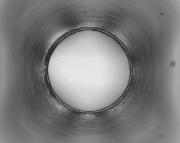 X0000090701119200708101436