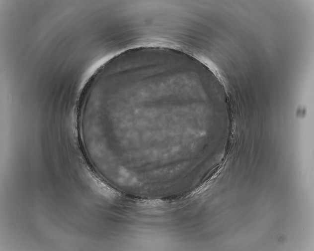 X0000090701120200708101436