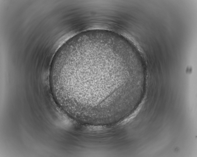 X0000090701121200708101436