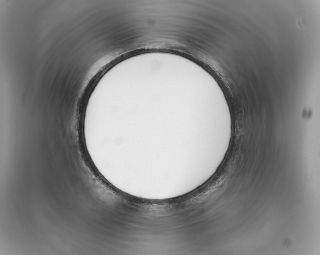 X0000090701122200708101436
