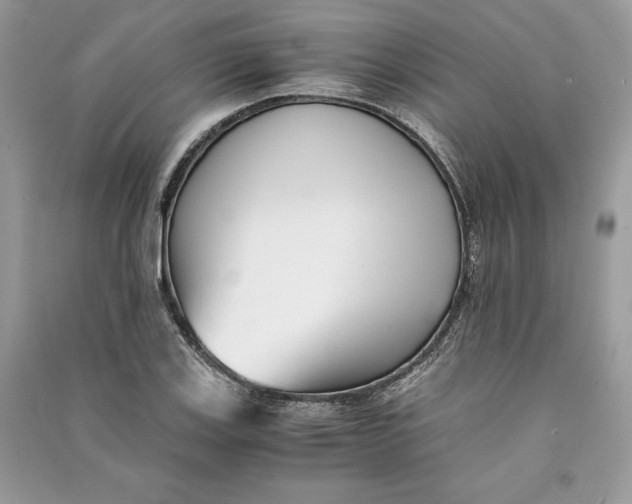 X0000090701123200708101436