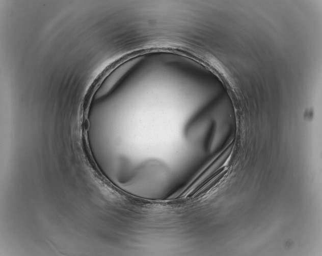 X0000090701124200708101436