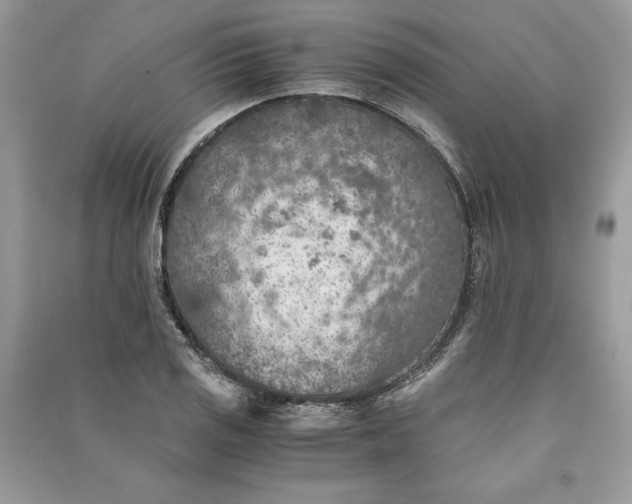 X0000090701125200708101436