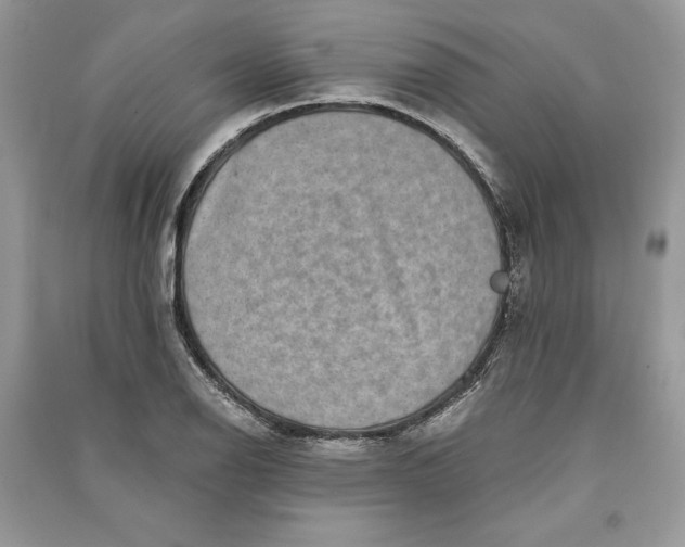 X0000090701126200708101436
