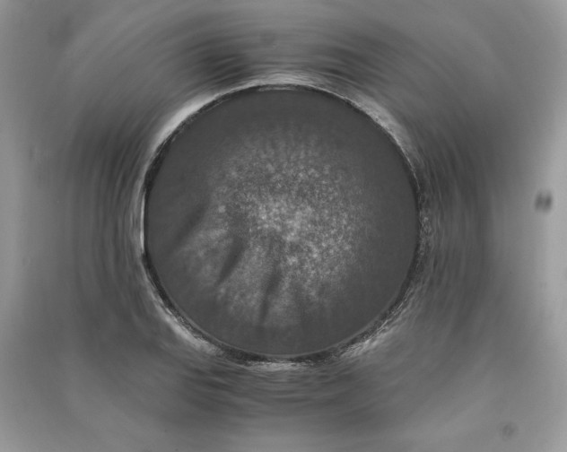 X0000090701127200708101436