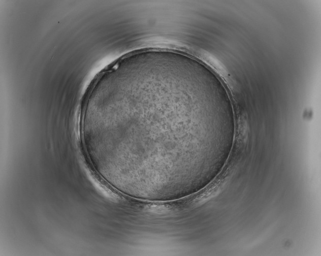 X0000090701128200708101436