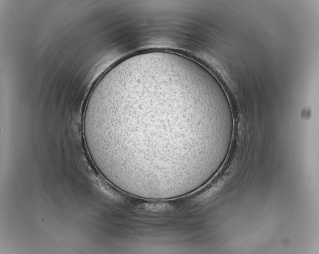 X0000090701129200708101436