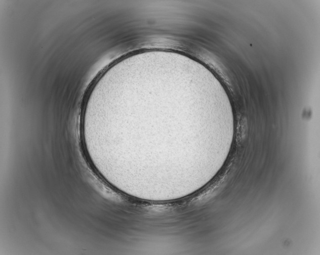 X0000090701130200708101436