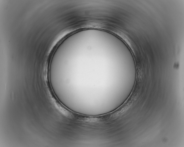 X0000090701131200708101436