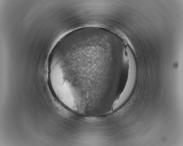 X0000090701132200708101436