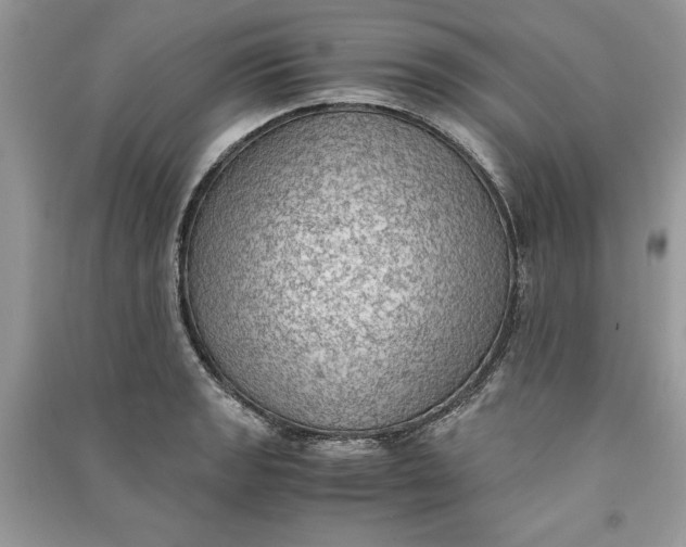 X0000090701133200708101436