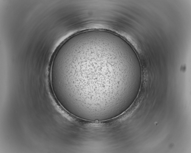 X0000090701134200708101436
