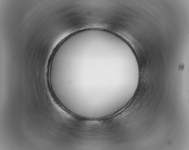 X0000090701135200708101436