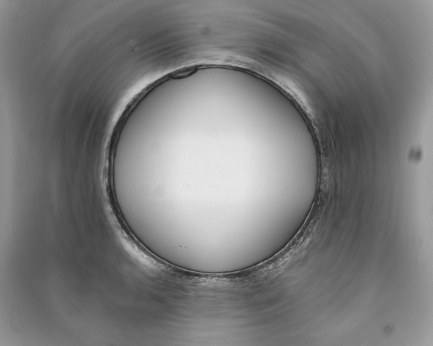 X0000090701136200708101436
