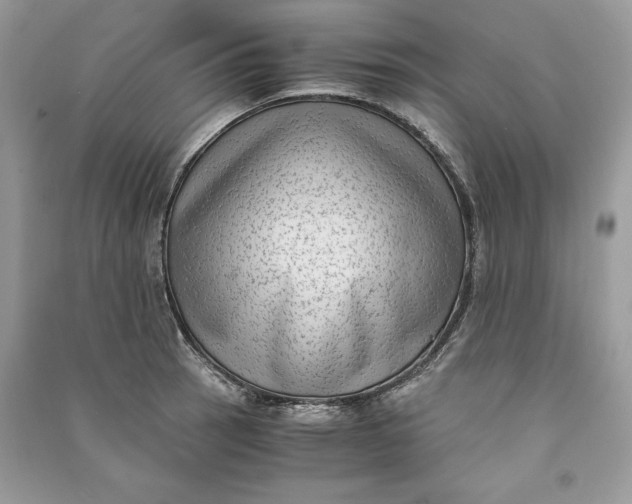 X0000090701137200708101436