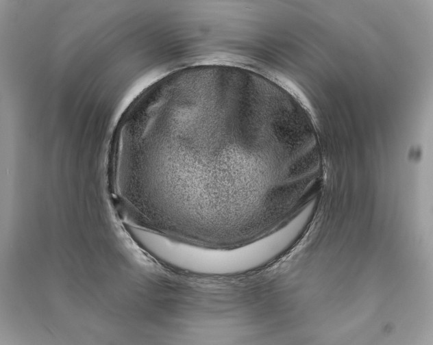X0000090701138200708101436