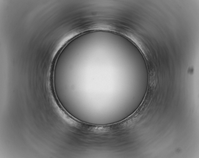 X0000090701139200708101436