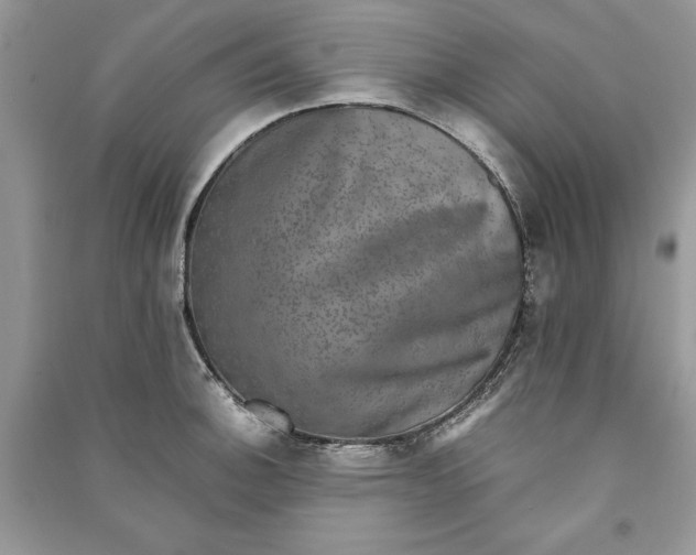 X0000090701140200708101436